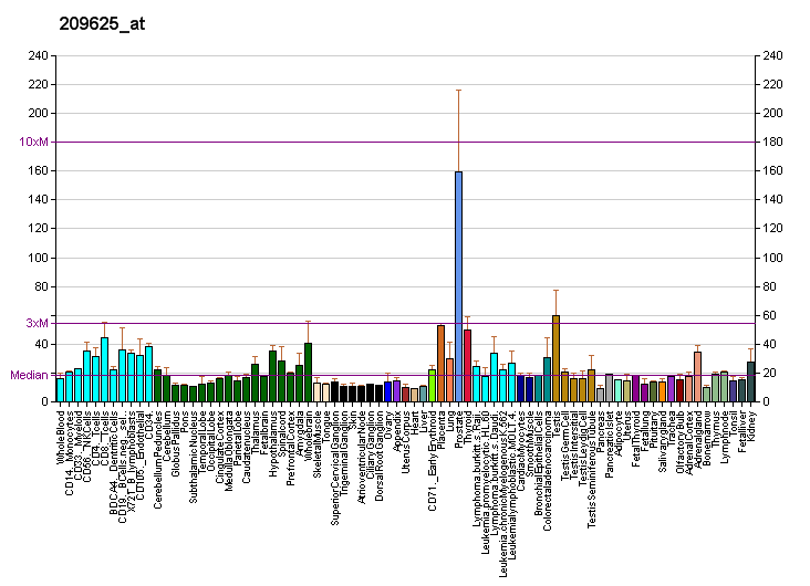 File:PBB GE PIGH 209625 at fs.png