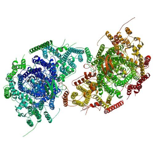 File:PBB Protein COX1 image.jpg