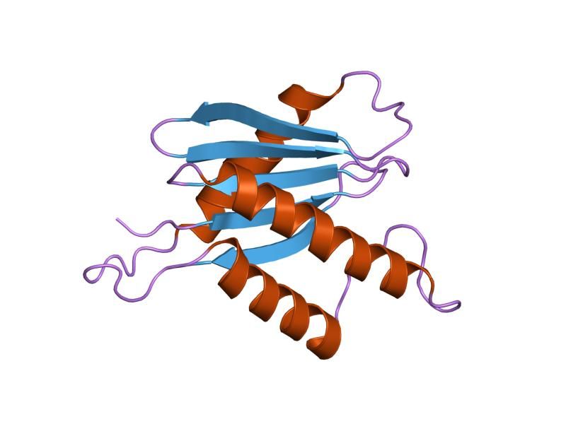 File:PDB 1h3q EBI.jpg