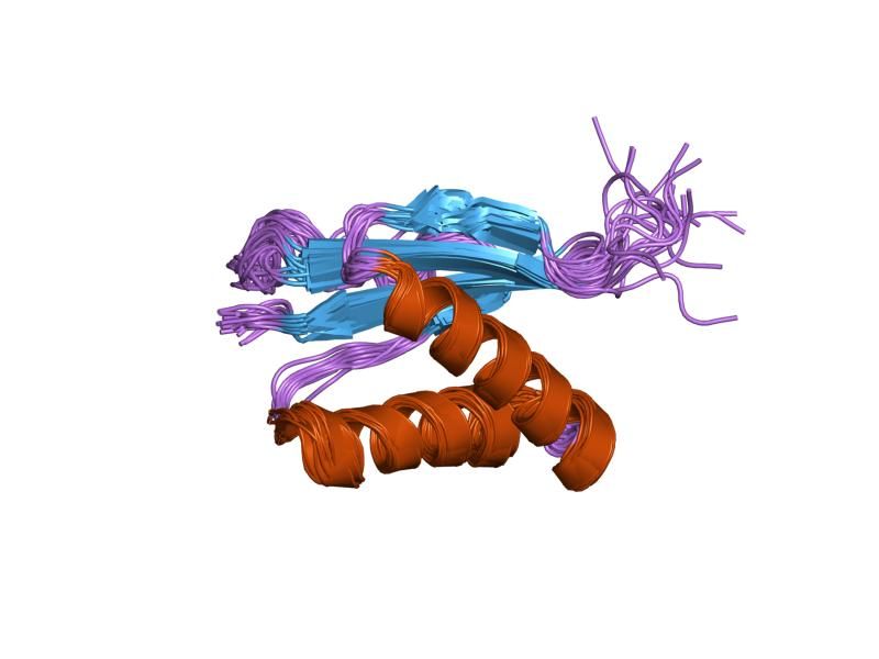 File:PDB 1pwj EBI.jpg