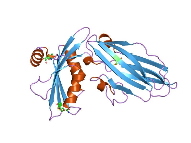 File:PDB 1qtp EBI.jpg