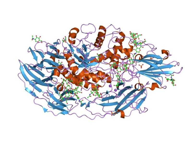 File:PDB 1tg7 EBI.jpg