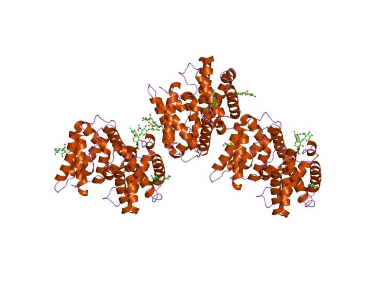 File:PDB 1ykb EBI.jpg