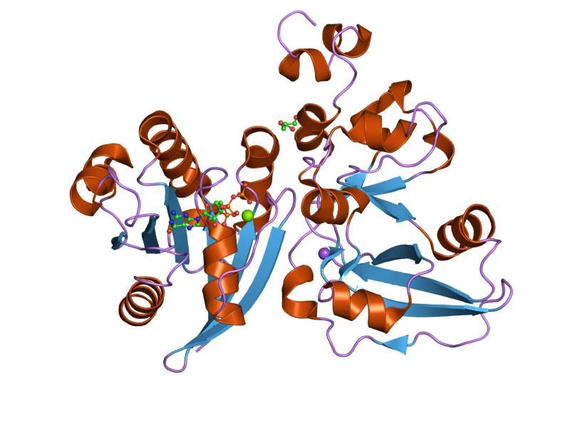 File:PDB 2a5d EBI.jpg