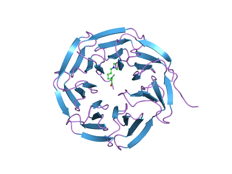 File:PDB 2cnx EBI.png