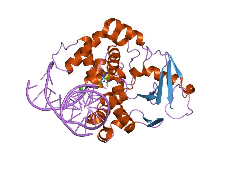 File:PDB 2nol EBI.jpg