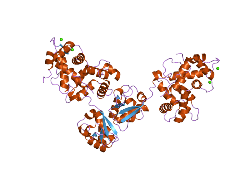 File:PDB 2nz0 EBI.png