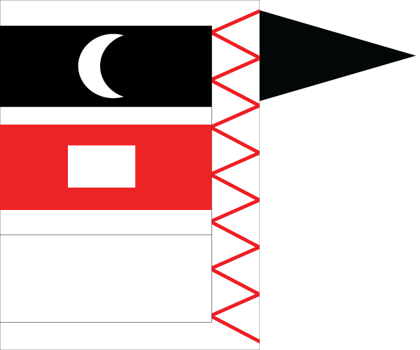 File:Tayy Flag (39).png