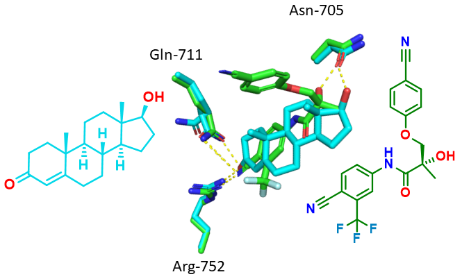 File:Testosterone Enobosarm overlay.png