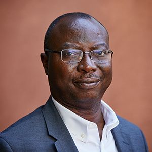 File:Adeyemo A. Adebowale 2019.jpg