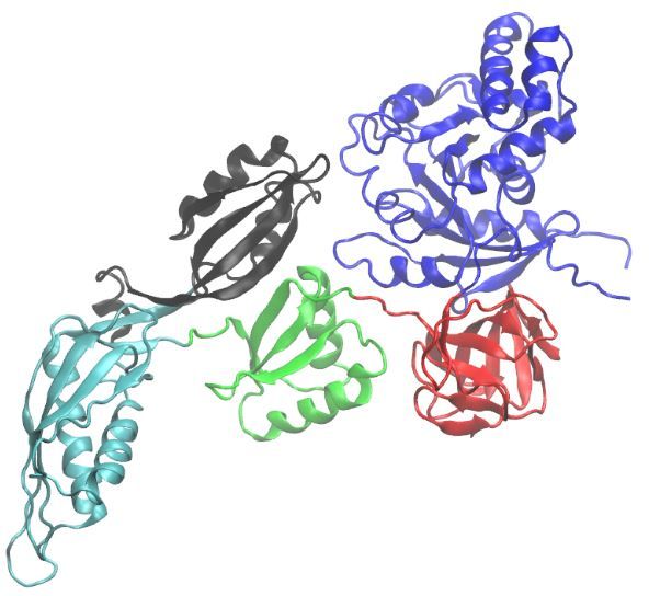 File:EF-G Post State PDB 4V5F.jpg