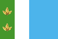 File:Flag of Tyumentsevsky rayon (Altai krai).png