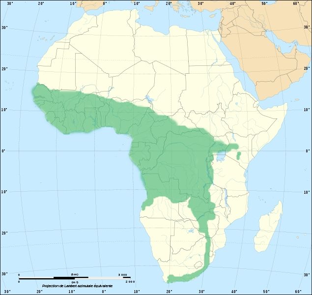 File:Forest cobra range.jpg