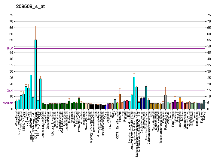 File:PBB GE DPAGT1 209509 s at fs.png