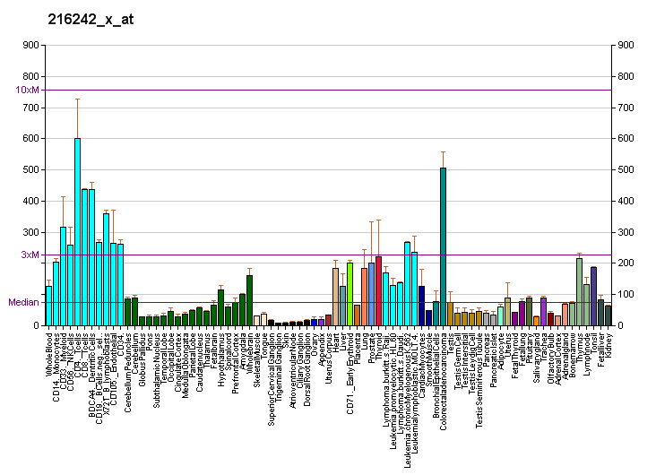 File:PBB GE POLR2J2 216242 x at fs.png