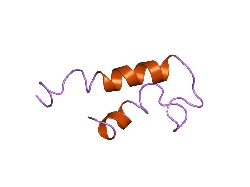 File:PDB 1ehs EBI.jpg