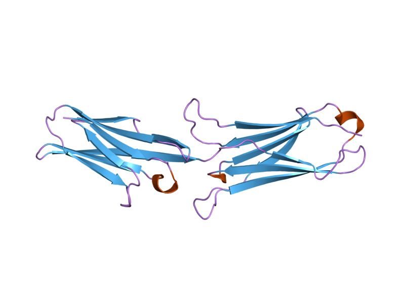 File:PDB 1ij9 EBI.jpg