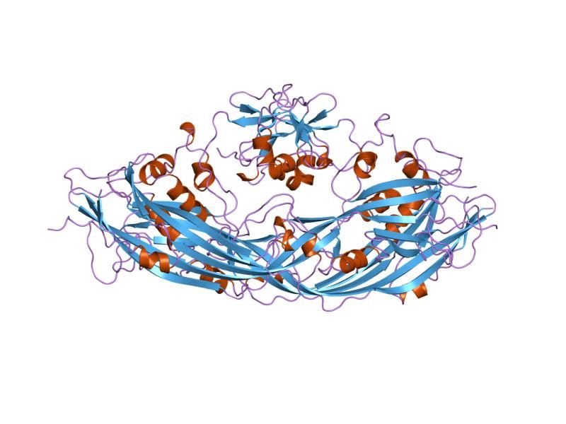 File:PDB 1pre EBI.jpg