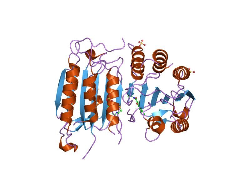 File:PDB 1shj EBI.jpg