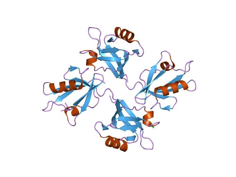 File:PDB 1w9e EBI.jpg