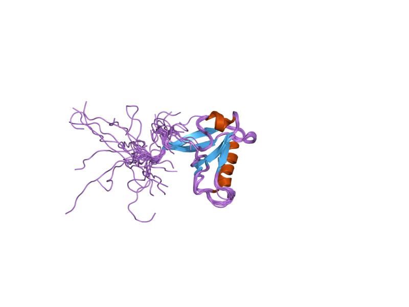 File:PDB 1x5r EBI.jpg