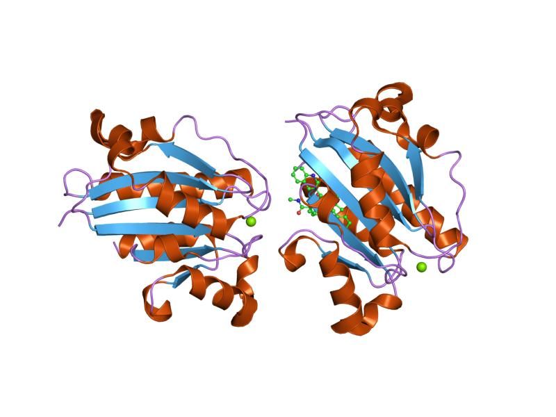 File:PDB 1xuo EBI.jpg