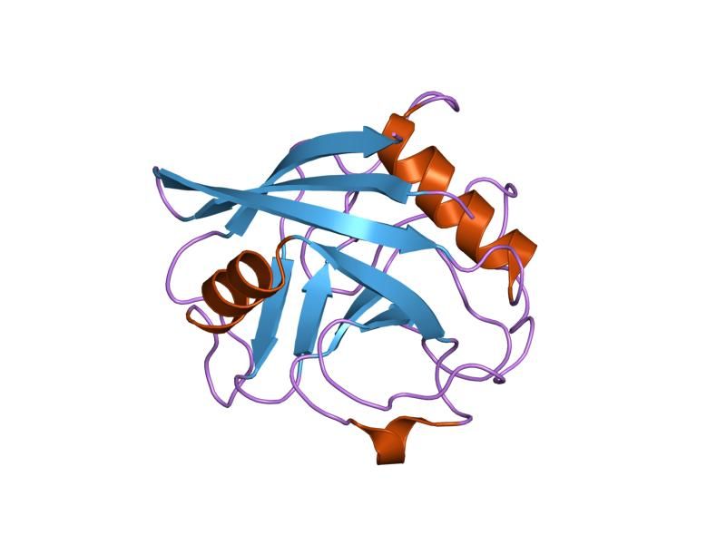 File:PDB 1zmf EBI.jpg