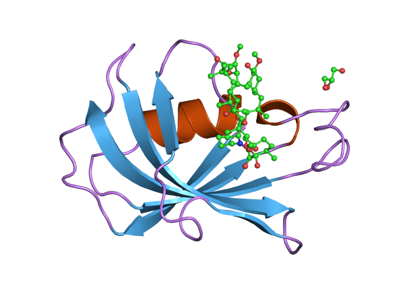 File:PDB 2dg9 EBI.png