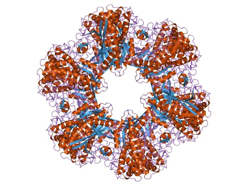 File:PDB 2gls EBI.jpg