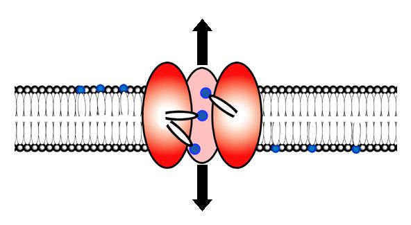 File:ScramblasePic.jpg