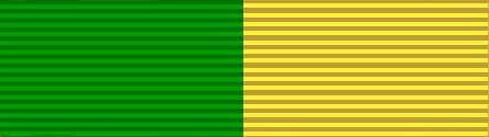 File:State Special Duty Ribbon.JPG