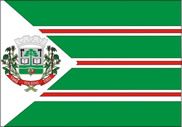 File:Bandeira Toledo.jpg