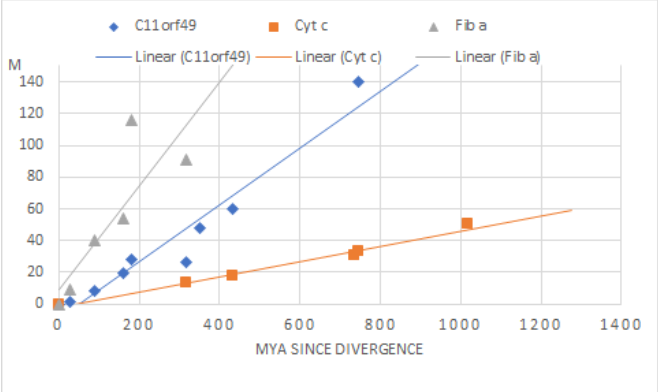 File:C11orf49 Evolutionary Rate Graph.png