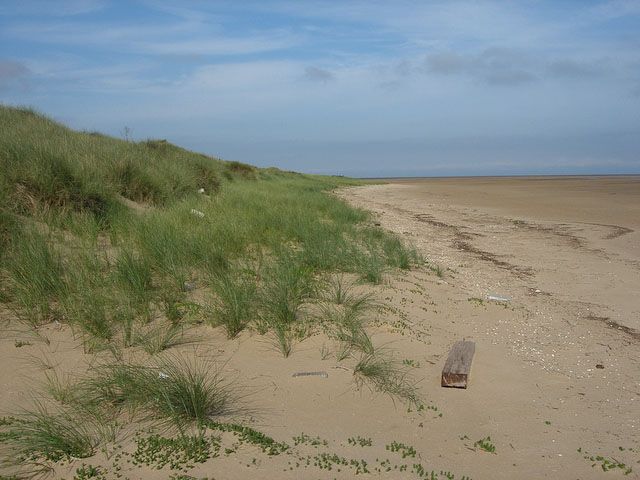 File:Dune front - geograph.org.uk - 1022731.jpg