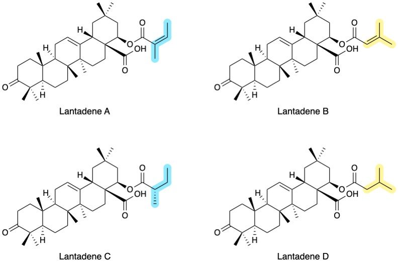 File:Lantadene Family Structures.jpg