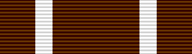 File:MTNG Commendation Medal.PNG