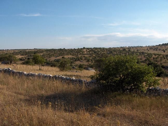 File:Murge Castel del Monte.jpg