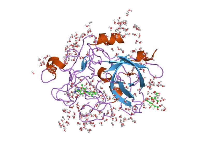 File:PDB 1gjd EBI.jpg