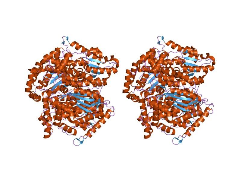 File:PDB 1jiq EBI.jpg