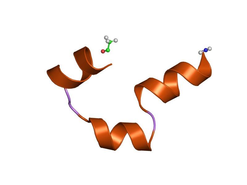 File:PDB 1l4t EBI.jpg