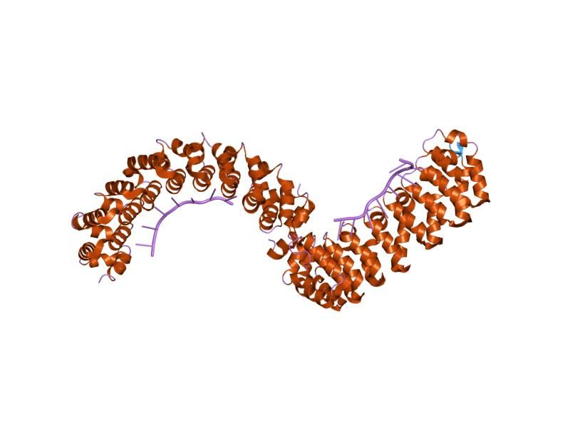 File:PDB 1m8w EBI.jpg