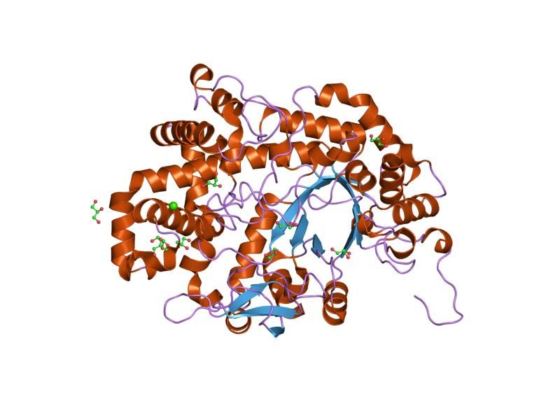 File:PDB 1x1n EBI.jpg