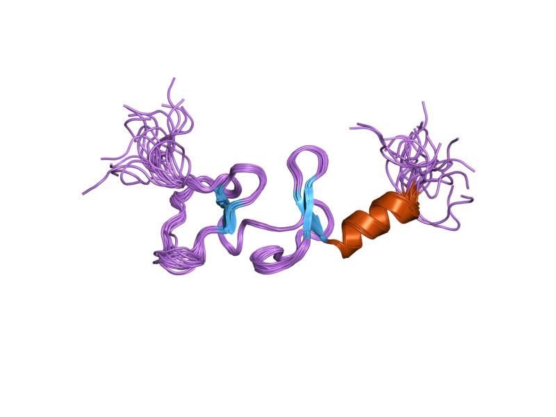 File:PDB 1x61 EBI.jpg