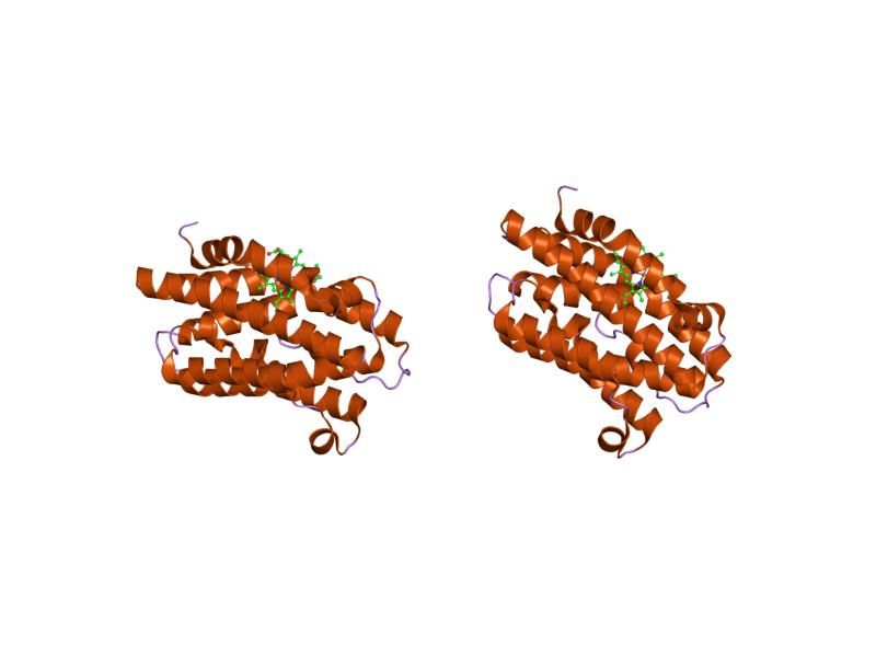 File:PDB 1xk0 EBI.jpg