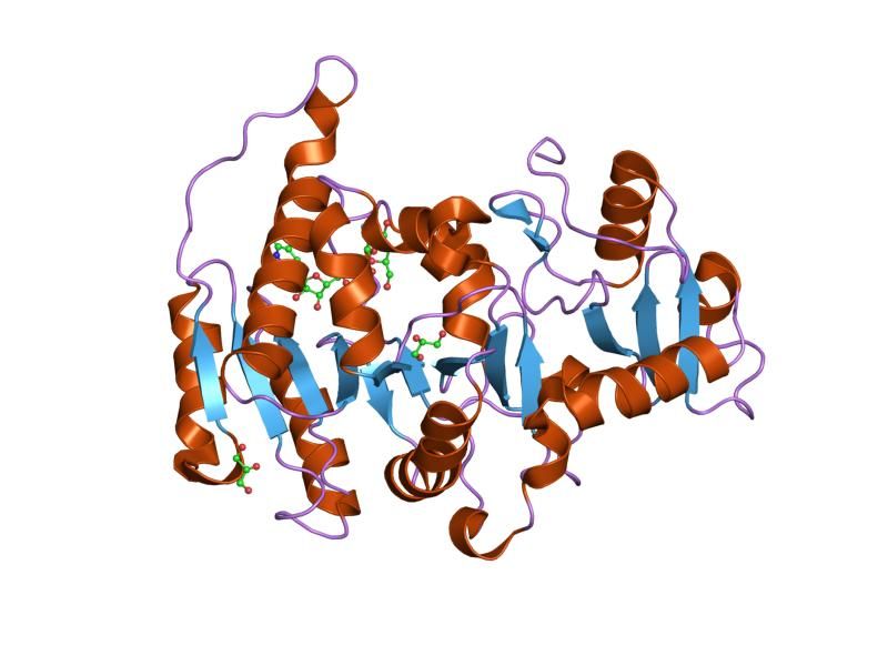 File:PDB 2am4 EBI.jpg