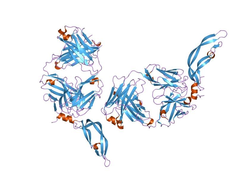 File:PDB 2fjh EBI.jpg