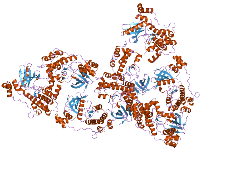 File:PDB 2hak EBI.png