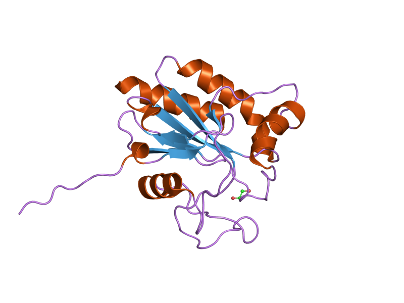 File:PDB 2i3y EBI.png