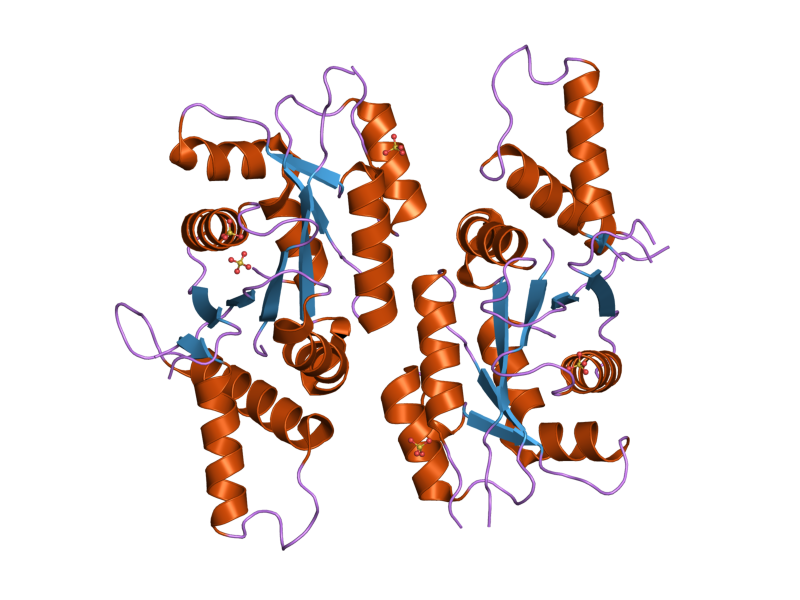 File:PDB 2vo1 EBI.png