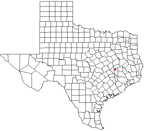 File:TXMap-doton-Iola.png